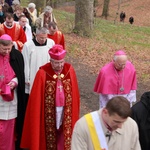 Odpust diecezjalny w parafii św. Wojciecha