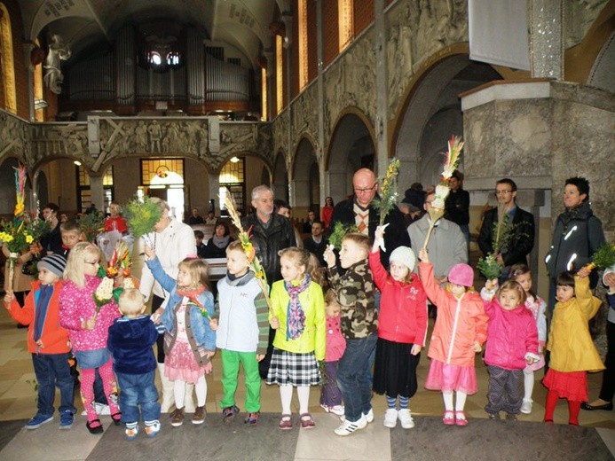 Najpiękniejsze palmy w Brzęczkowicach