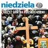 Niedziela 15/2014