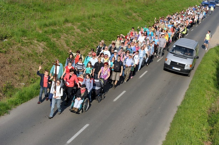 Ze Świdnicy do Gogołowa