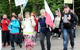 Pielgrzymkowe fotografie zamieszczone zostały w galeriach ilustrujących przebiieg wędrówki z Hałcnowa i Cieszyna do Łagiewnik