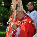 Procesja stanisławowska w Szczepanowie