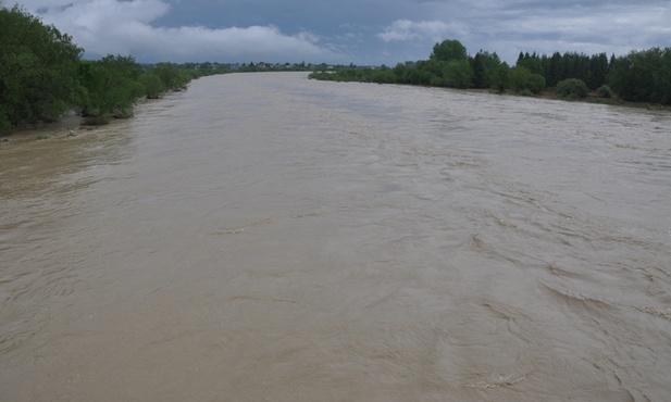 Dunajec w okolicy Tarnowa