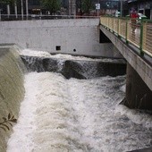 Białka w centrum Bielska-Białej w sobotnie popołudnie 17 maja