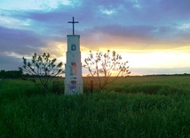 Kapliczka w zbożu na jednej z podłowickich wsi