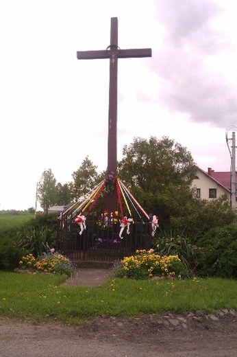 Kapliczki i krzyże z okolic Łowicza