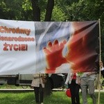 Marsz dla życia i rodziny w Katowicach