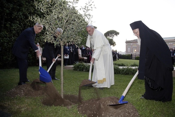 Franciszek "wywołał wielkie zamieszanie"