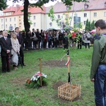 Dąb Pamięci st. post. Józefa Szarka w Oświęcimiu