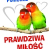 Ponieważ prawdziwa miłość czeka