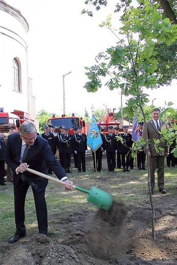 Prezydent Komorowski zasadził w Łowiczu kolejny "dąb wolności"