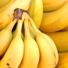 Banan GMO 