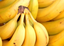 Banan GMO 