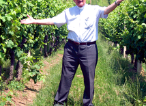 Archidiecezja dźakovsko-osijecka jako jedyna w Chorwacji zajmuje się produkcją wina