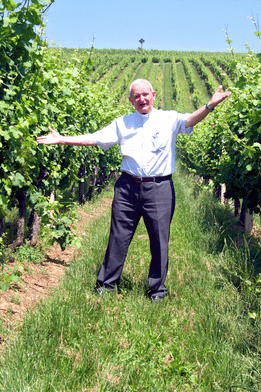 Archidiecezja dźakovsko-osijecka jako jedyna w Chorwacji zajmuje się produkcją wina