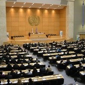 Obrońcy życia obrzuceni inwektywami w ONZ
