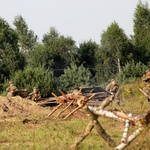 V Międzynarodowy Zlot Historyczny