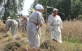 Obrzęd żniw w Maurzycach