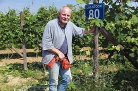 Mariusz Grabka podkreśla, że w Lesie Stockim jego winnica jest bezpieczna