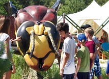 Podczas zwiedzania parku napotkać można gigantyczne figury owadów