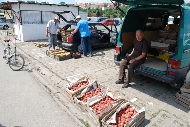 Rolniczy urodzaj i embargo na eksport 