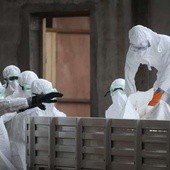 Ebola raczej nie grozi Europie i Polsce