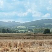 Chomiąża. Obszar Chronionego Krajobrazu  Rejon Mokre-Lewice