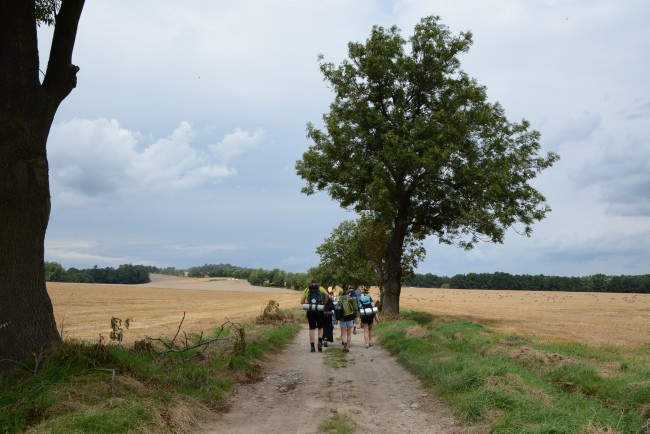 Liderzy ŚDM na Camino