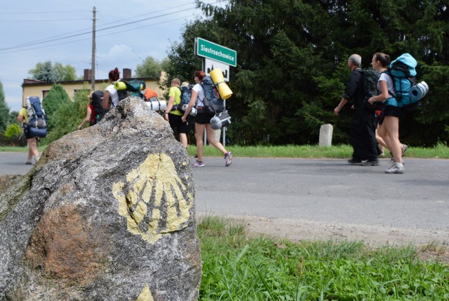 Liderzy ŚDM na Camino