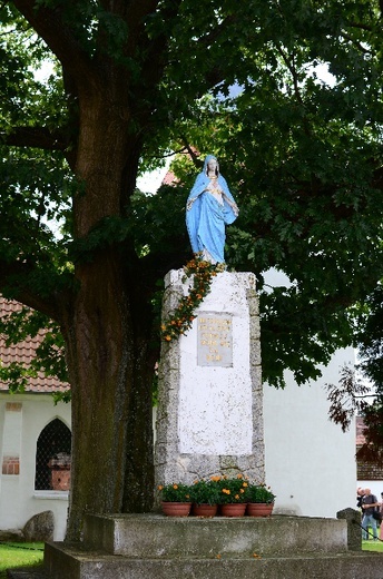 Matki Bożej Zielnej w Swołowie