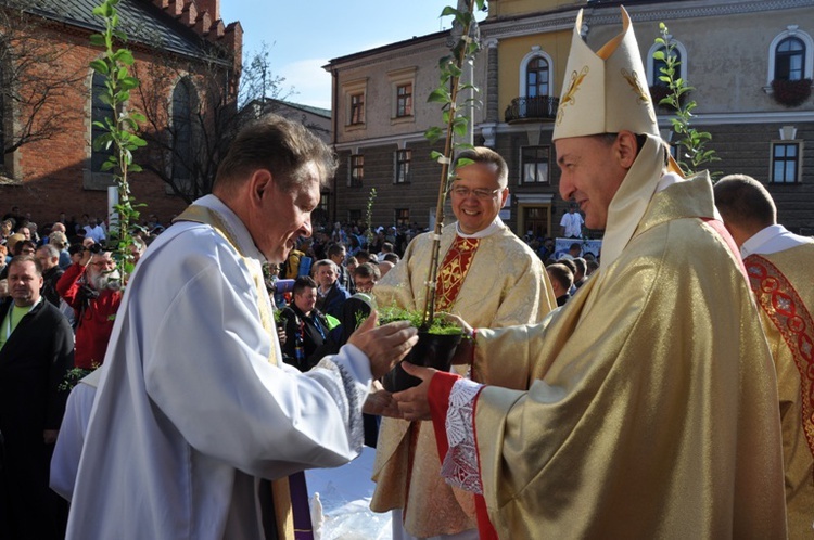 Grusze Karoliny