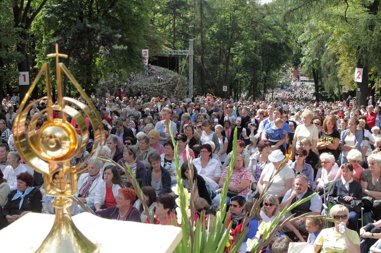 Godzina młodzieżowa na piekarskim wzgórzu