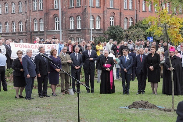 Dąb Wolności w Gdansku