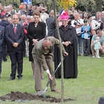 Dąb Wolności w Gdansku