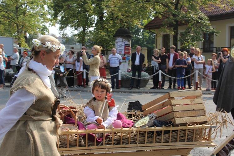 Skierniewickie Corso 2014