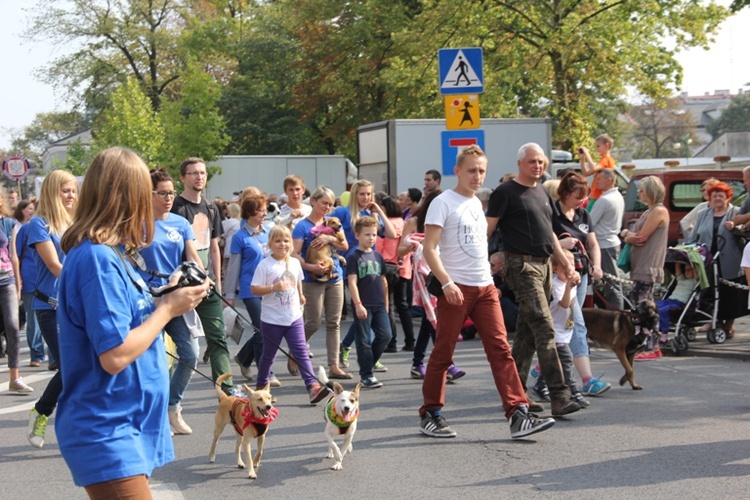 Skierniewickie Corso 2014