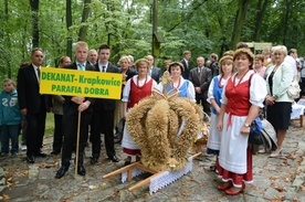 Cuda z ziarenek i kłosów