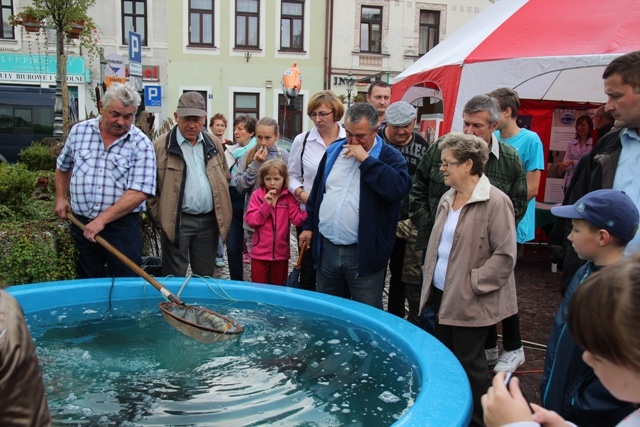 Święto Karpia w Skoczowie