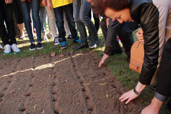 Inauguracja Pól Nadziei 2015 na Pomorzu