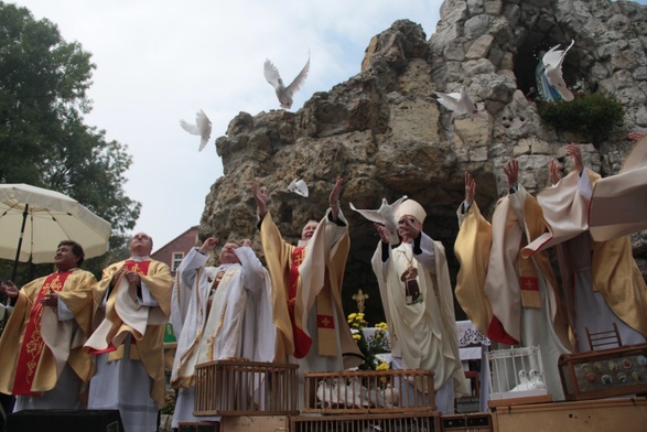 Bądź człowiekiem wśród stworzeń