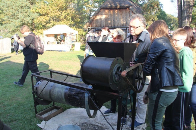 "Festiwal Ziemniaka" w Muzeum Wsi Radomskiej