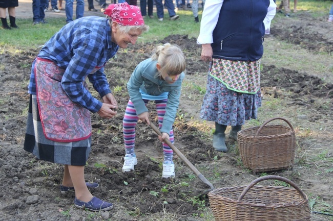 "Festiwal Ziemniaka" w Muzeum Wsi Radomskiej