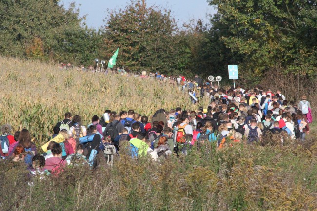 Piesza pielgrzymka do grobu św. Jadwigi