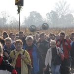 Piesza pielgrzymka do grobu św. Jadwigi