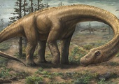 Tak mógł wyglądać Dreadnoughtus schrani
