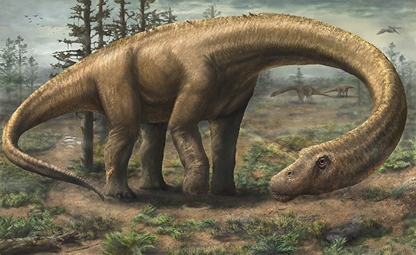 Tak mógł wyglądać Dreadnoughtus schrani