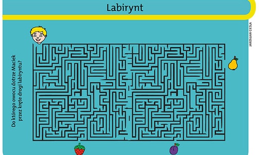 Labirynt, liczby, rebusy