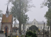 Stary cmentarz w Brzesku