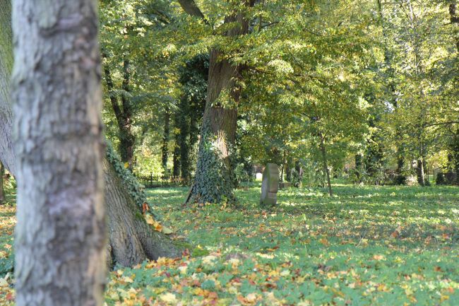 Lapidarium rzeźby nagrobnej we Wschowie