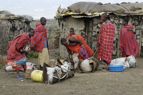 Safari kosztem 40 tysięcy Masajów